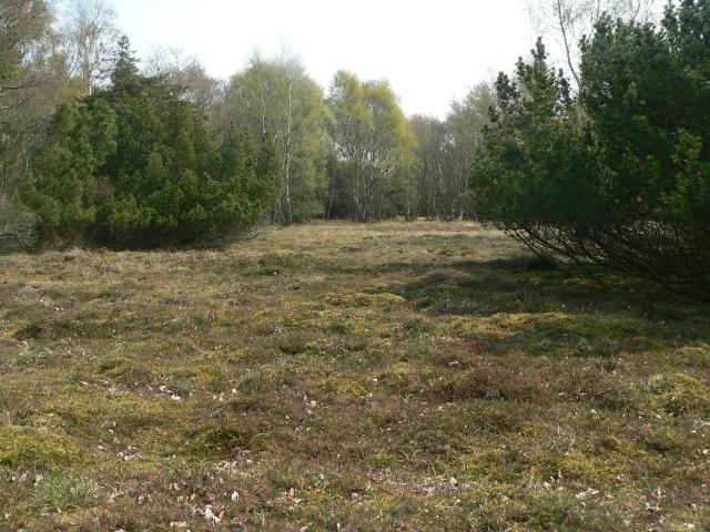 2006-05-06 11-46-44 - 0.jpg.jpg
